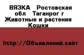 ВЯЗКА - Ростовская обл., Таганрог г. Животные и растения » Кошки   